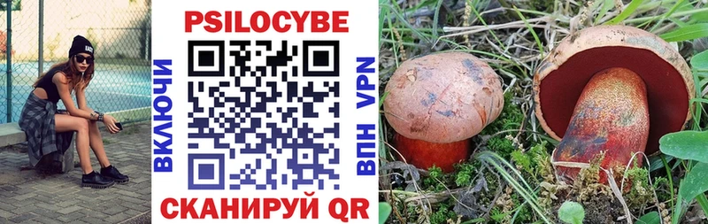 Псилоцибиновые грибы Magic Shrooms  блэк спрут как войти  Покров  купить наркотики цена 